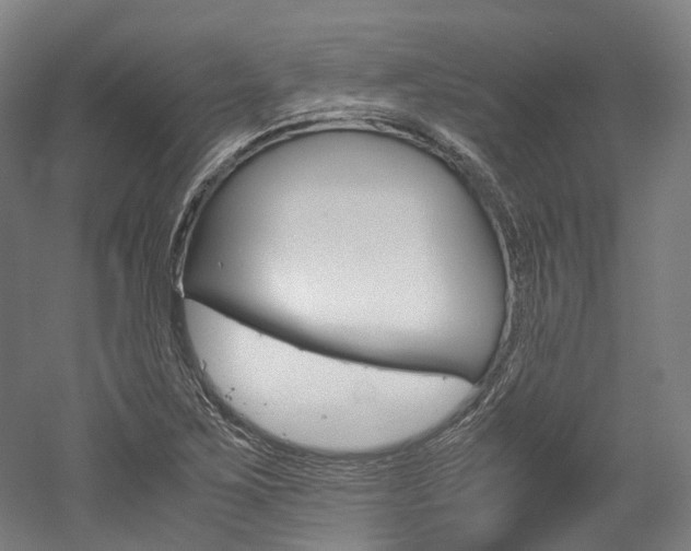 X0000052631267200507011024