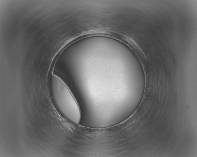 X0000052631268200507011024