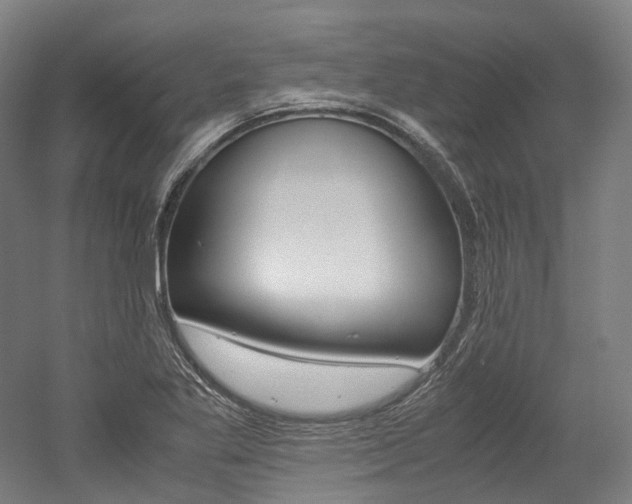 X0000052631269200507011024