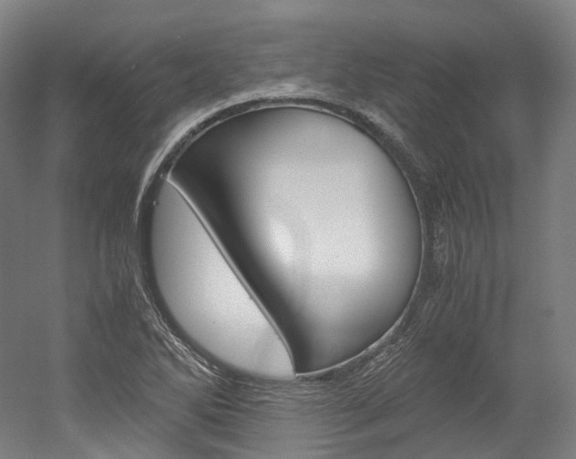 X0000052631270200507011024