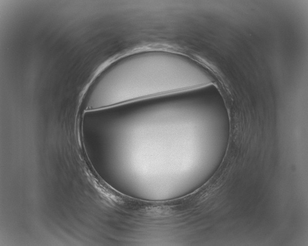 X0000052631272200507011024