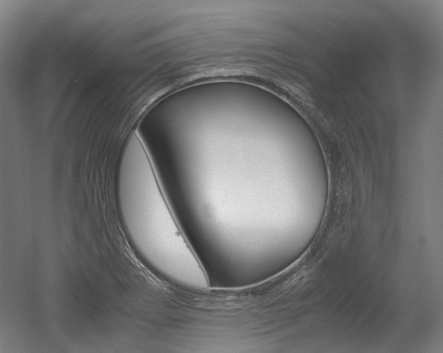 X0000052631273200507011024