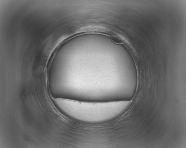 X0000052631275200507011024