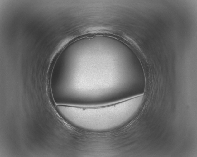 X0000052631277200507011024