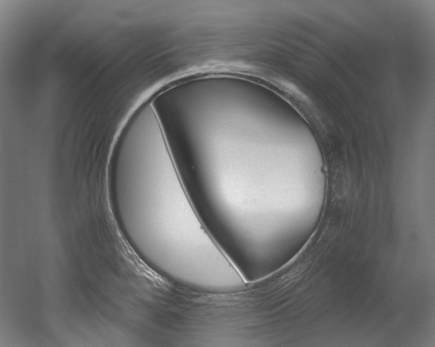 X0000052631280200507011024