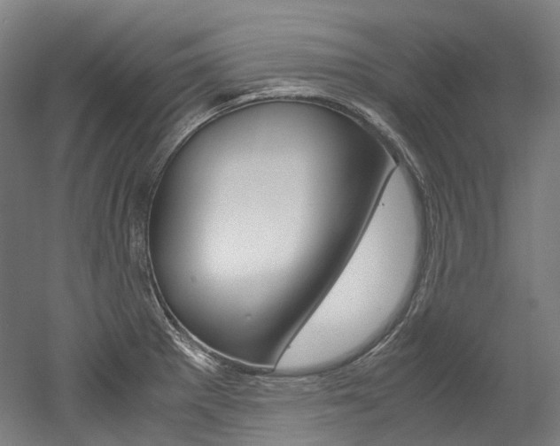 X0000052631281200507011024