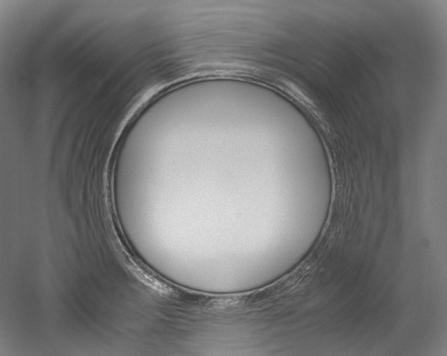 X0000052631283200507011024