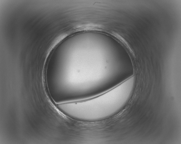 X0000052631285200507011024