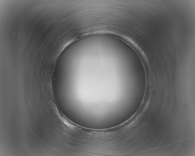 X0000052631289200507011024