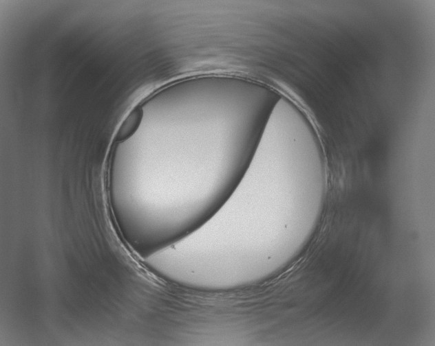 X0000052631291200507011024