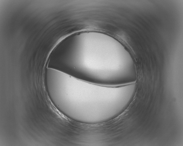 X0000052631292200507011024