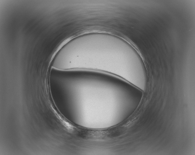 X0000052631293200507011024