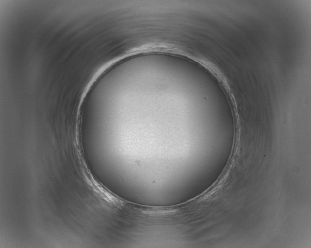 X0000052631296200507011024
