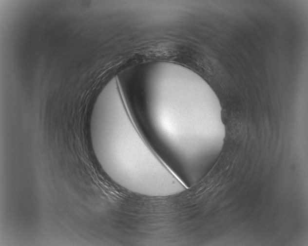 X0000052631297200507011023