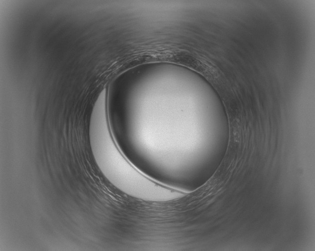 X0000052631298200507011023
