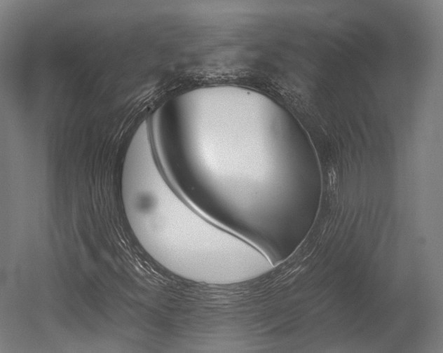 X0000052631300200507011023