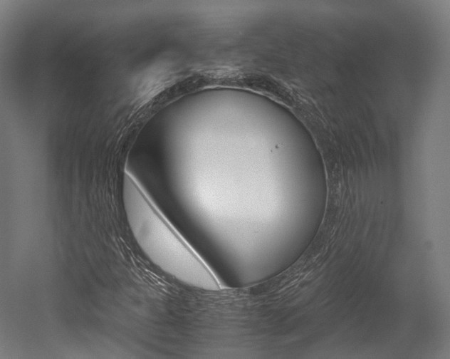 X0000052631301200507011023