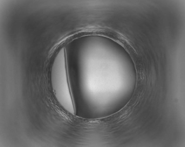 X0000052631304200507011023