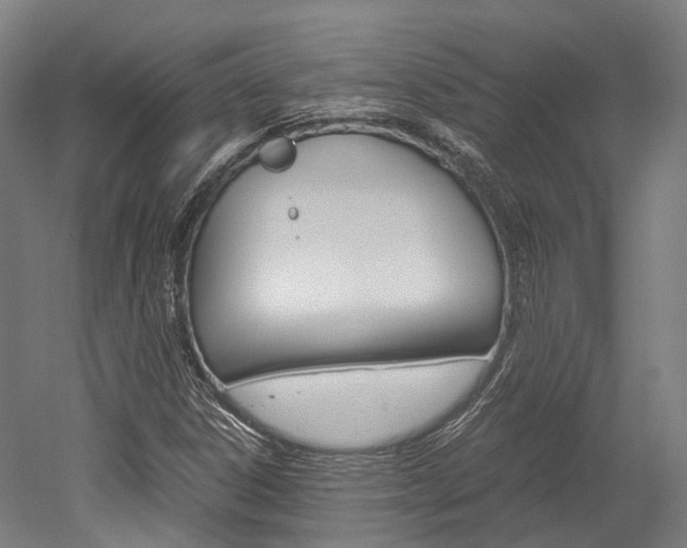 X0000052631306200507011023