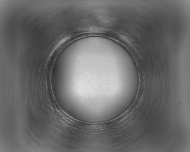 X0000052631307200507011023