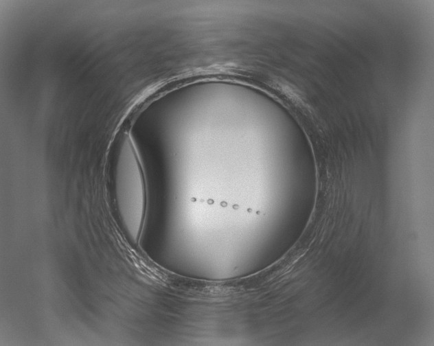X0000052631308200507011023