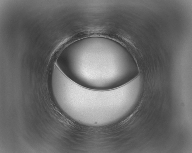 X0000052631309200507011023