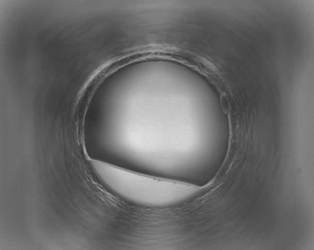 X0000052631310200507011023