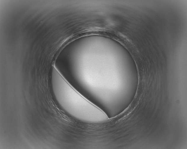 X0000052631313200507011023