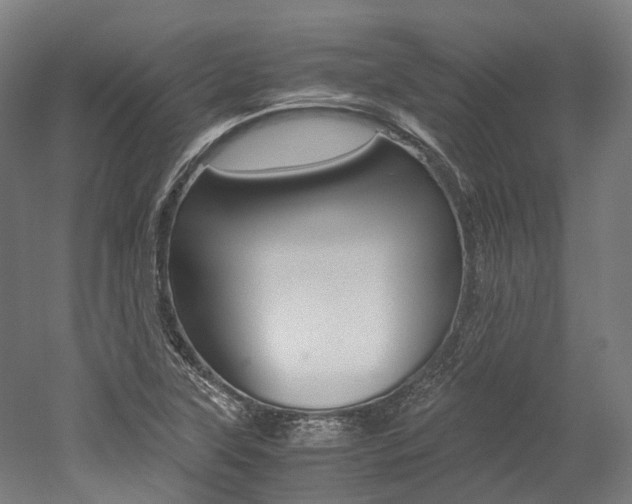 X0000052631315200507011023