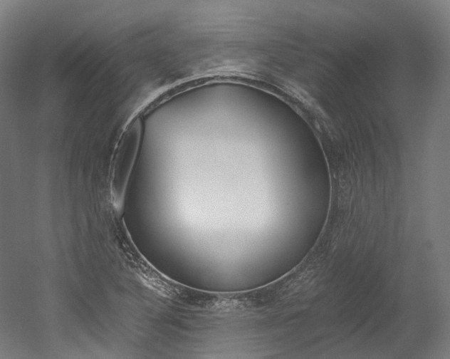 X0000052631316200507011023