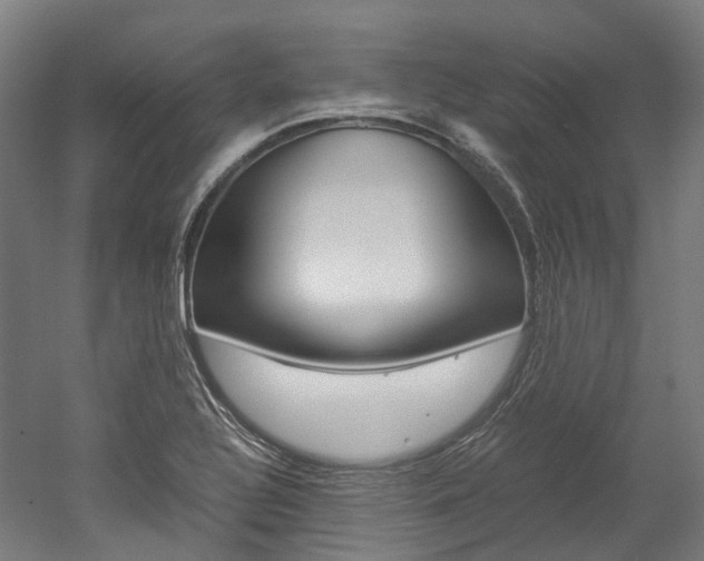 X0000052631320200507011023