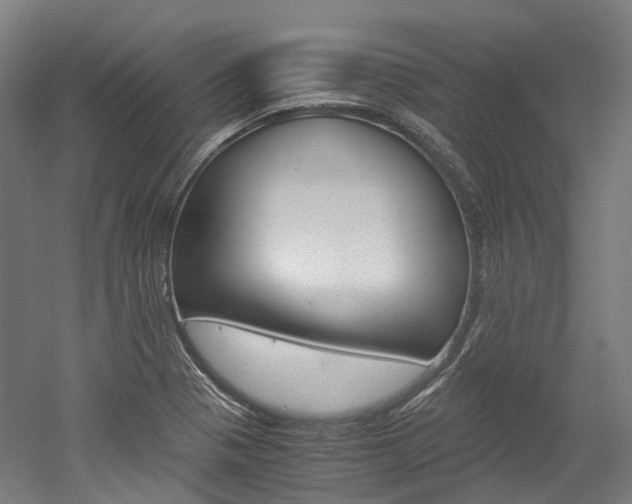 X0000052631321200507011023