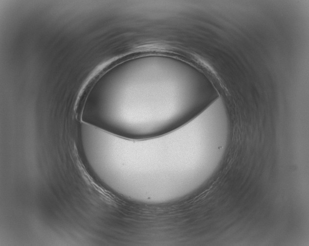 X0000052631323200507011023