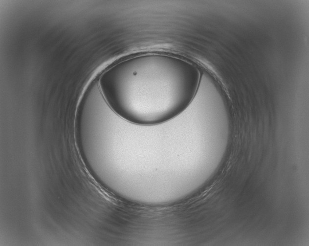 X0000052631324200507011023