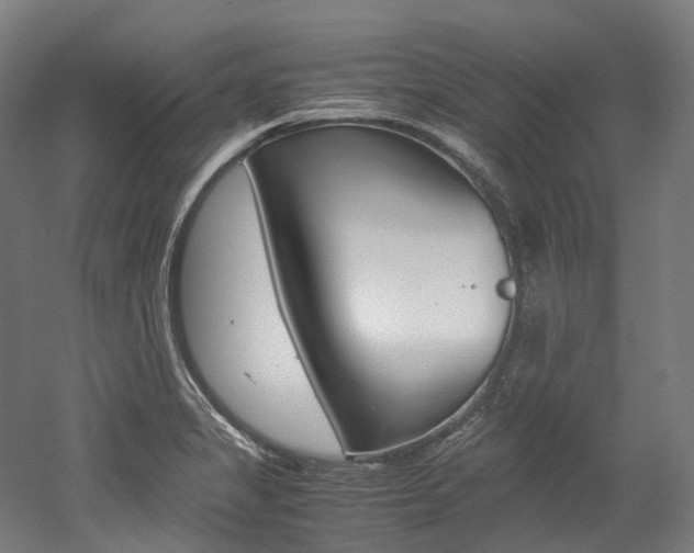 X0000052631325200507011023