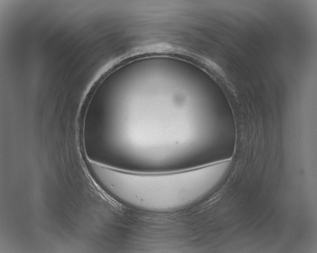 X0000052631326200507011023