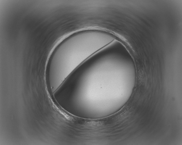 X0000052631327200507011023