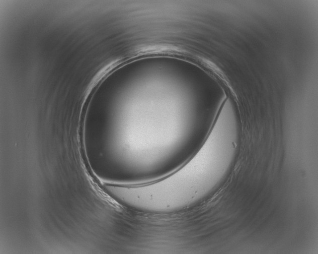 X0000052631330200507011023