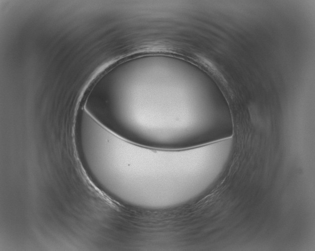 X0000052631331200507011023
