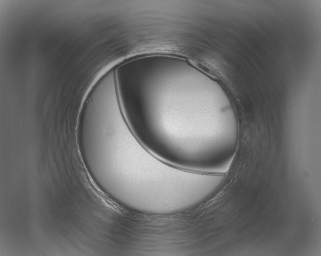 X0000052631332200507011023