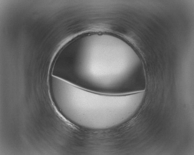 X0000052631335200507011024