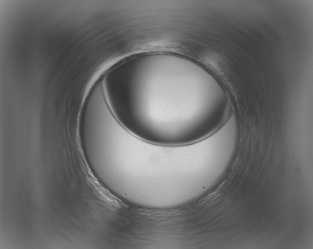 X0000052631336200507011024