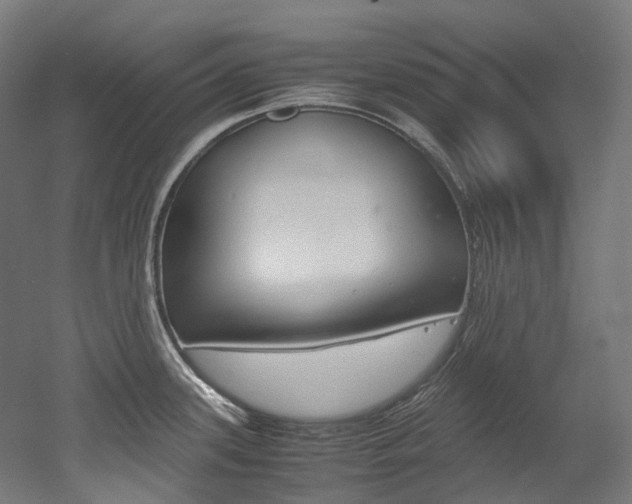 X0000052631339200507011024