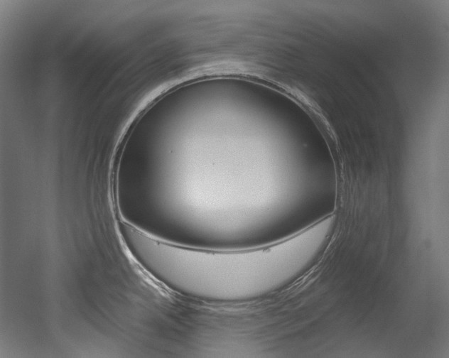 X0000052631342200507011024
