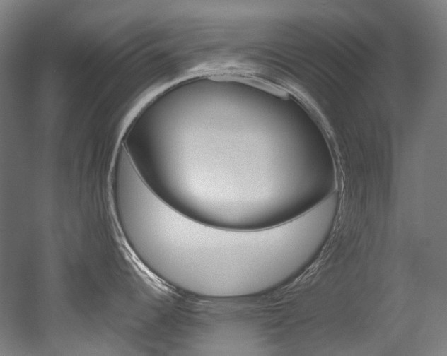 X0000052631344200507011024