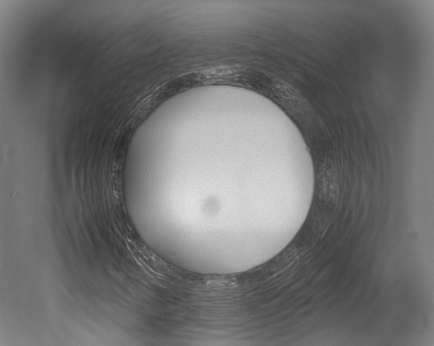 X0000052631346200507011023