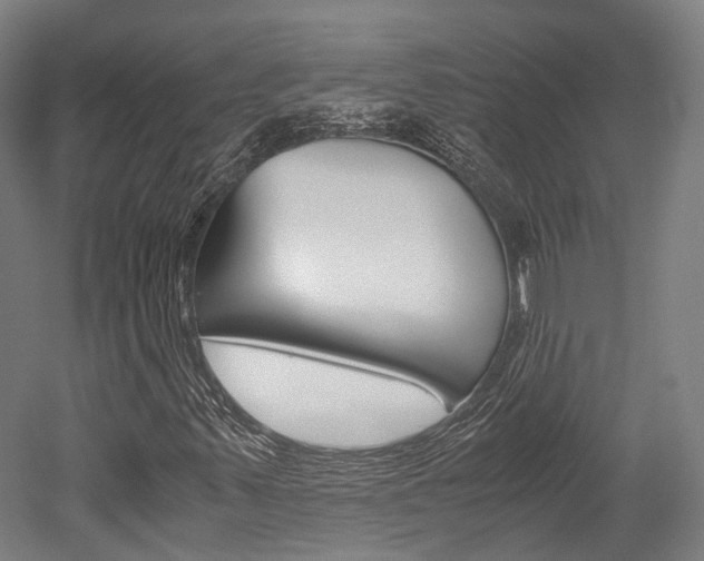 X0000052631347200507011023