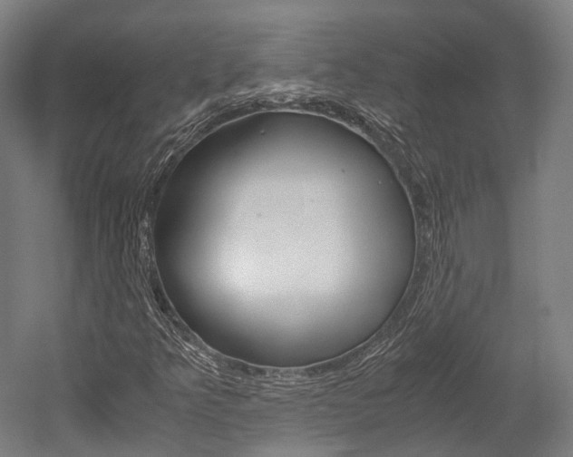 X0000052631349200507011023