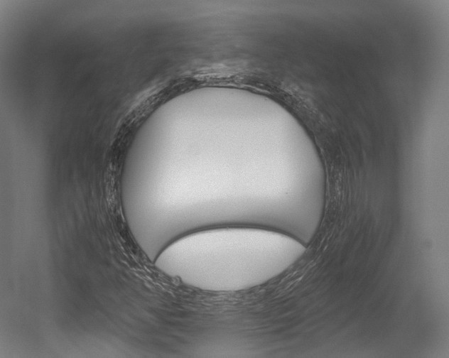 X0000052631350200507011023