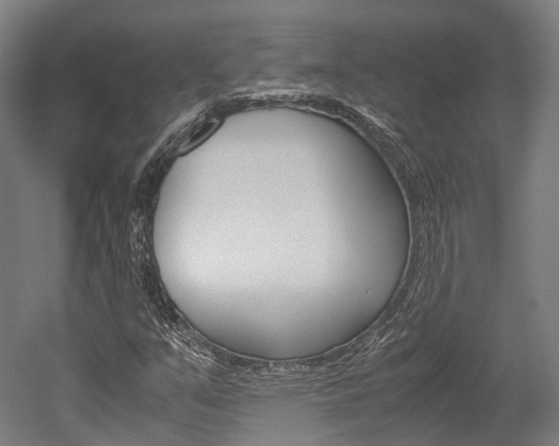 X0000052631351200507011023